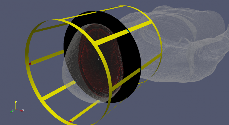 File:MRI LP BirdCage 3D SAR.png